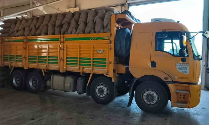 TMO'nun İnebolu hamlesi: üreticiden 100 tondan fazla fındık alındı