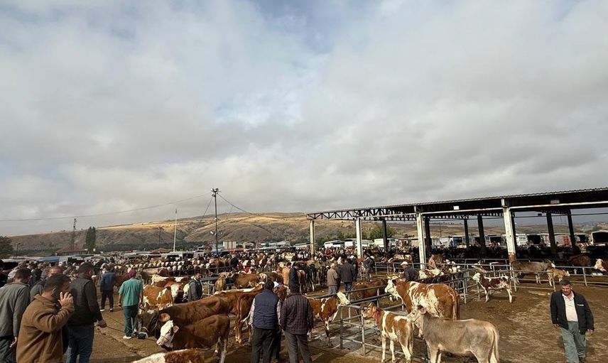Yozgat'ta hayvan pazarları tedbir amaçlı kapatıldı