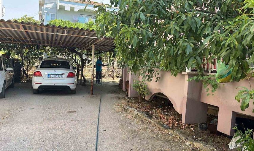 Germencik'te gece uygulamalarıyla haşere ve zararlılara kapsamlı müdahale