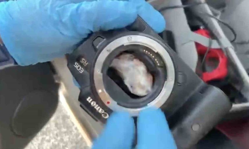 fotoğraf makinesine saklanan uyuşturucu iki kişinin gözaltına alınmasına yol açtı