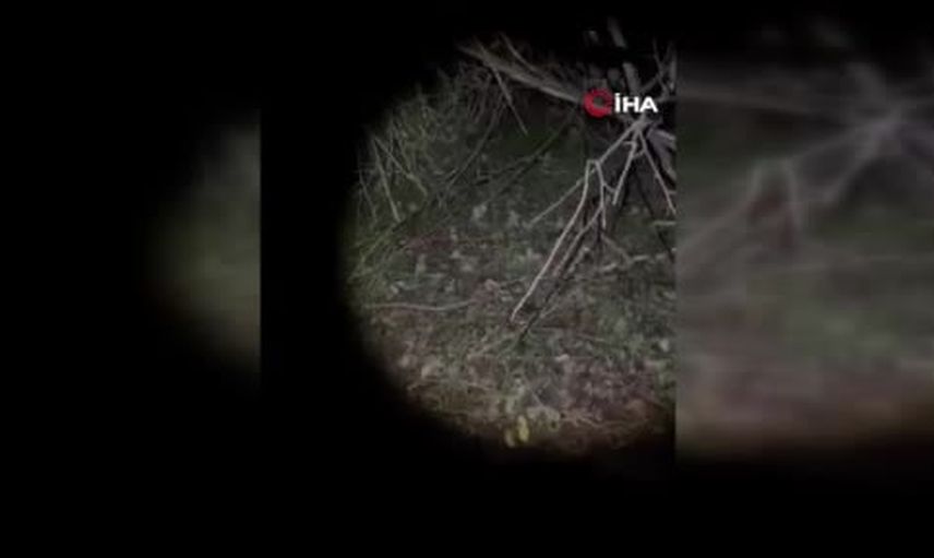 Çatalca ormanında mantar arayışında kaybolanlar sabaha karşı bulundu