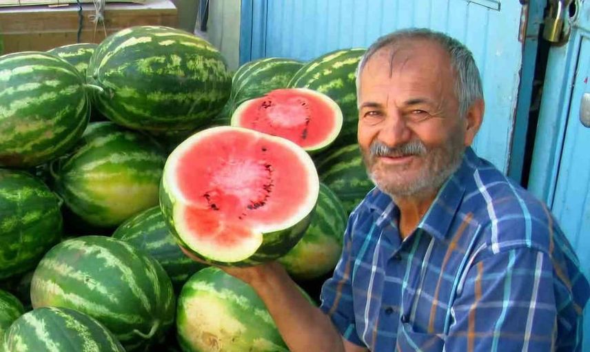 Araban ovası'nda sonbaharın tatlı bereketi: güz karpuzu hasadı