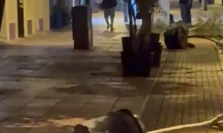 Gece saatlerinde kaldırım saksılarını deviren kişi görüntülendi
