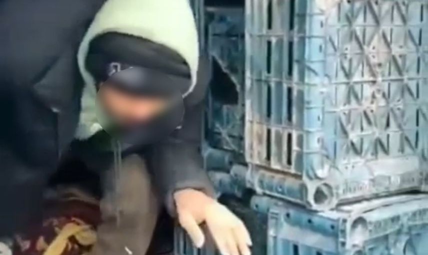 Düzce'de jandarma operasyonunda 7 düzensiz göçmen yakalandı