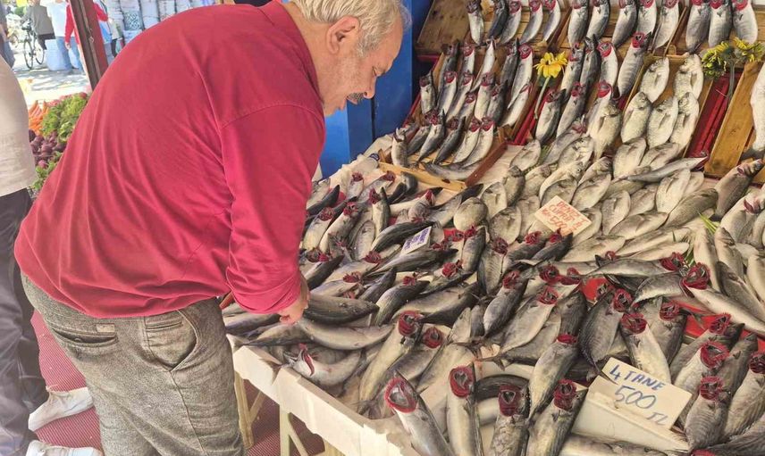 Palamut bu sezon tezgâhlarda hamsiyi gölgede bıraktı