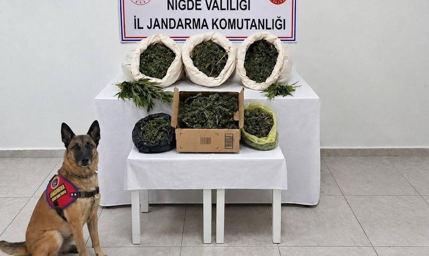 Niğde'de 19-25 Ekim bilançosu: 46 aranan şahıs yakalandı, 9 kişi tutuklandı