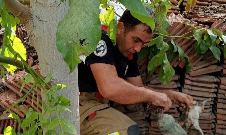 Merakla girdiği vanada mahsur kalan yavru kedi itfaiye ekipleri tarafından kurtarıldı