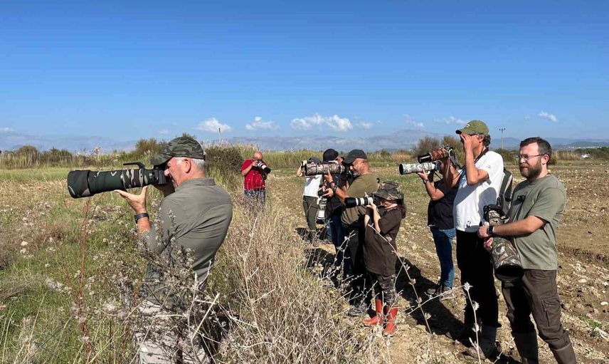 Manavgat'ta doğa topluluğu hareketlendi: Türkiye'nin 506'ncı kuşu kayıtlarda
