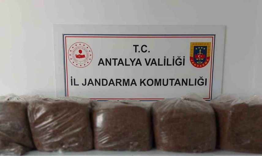 Kaçak tütün operasyonunda Alanya ve Demre'de 285 kilo ele geçirildi