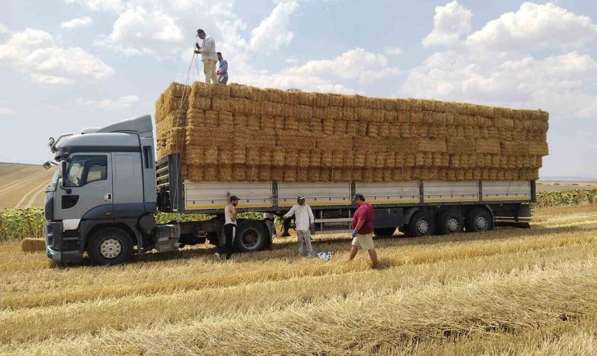 Komşuluk elini uzattı: genç çiftçiden yangın bölgesine bin 200 balya saman desteği