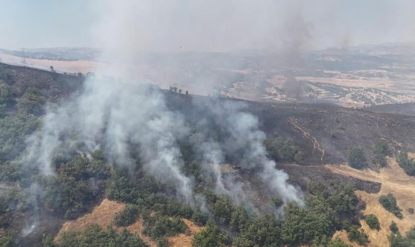 Tunceli'de alevler sınırlandırıldı ve yerleşimlere sıçramadan söndürüldü