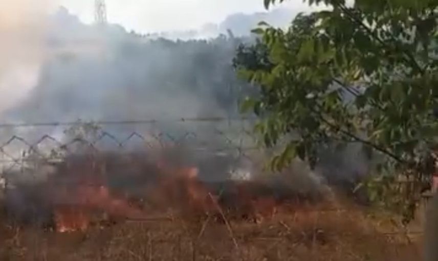 Eskişehir'de otluk yangını bahçedeki meyve fidanlarına zarar verdi