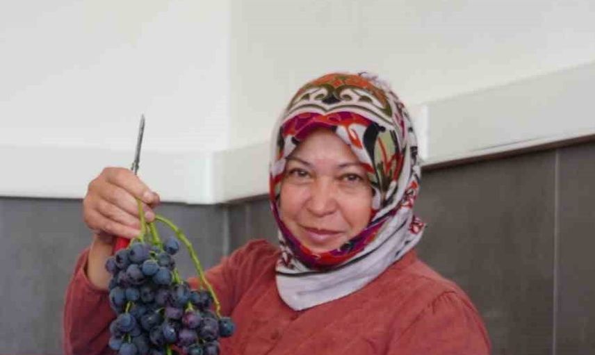 Manisa'da bağcılığın yeni sürprizi: çilek tadında Bronx Seedless
