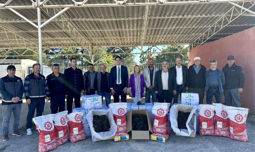 Pazaryeri'nde çilek üretimine yeni ivme: 41 bin 750 Albion fide üreticilere dağıtıldı