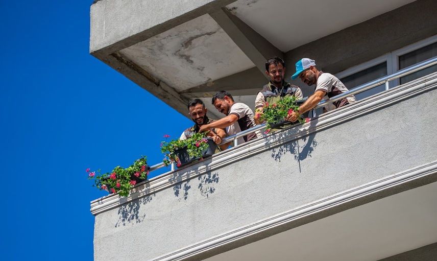 balkonlar sardunyalarla canlanıyor: gebze'de en güzel balkon seçilecek