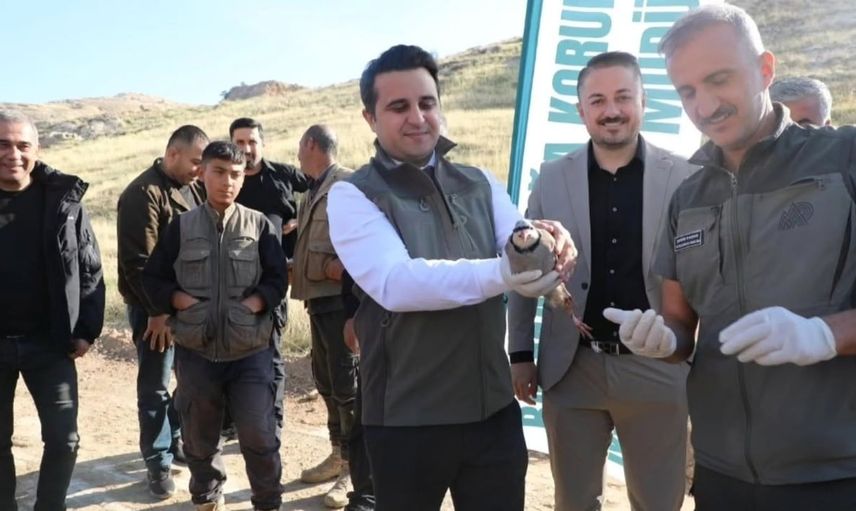 Kekliklerle ekosisteme destek: Batman'da 300 kuş doğaya bırakıldı
