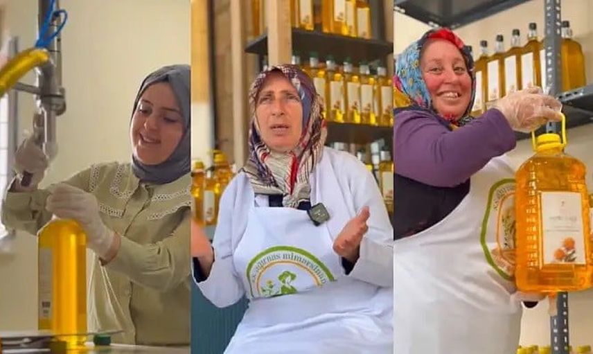 Kayseri'den sofraya aspir: bozkırın altın damlası laboratuvarda tescillendi