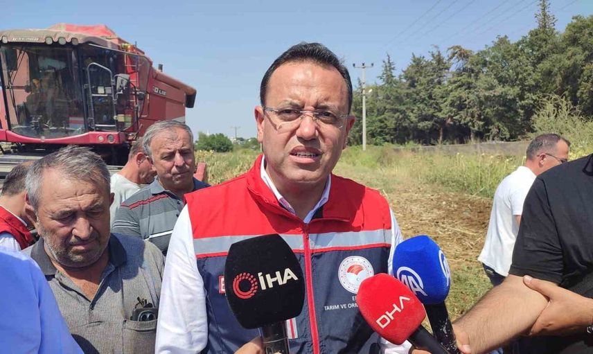 Trakya'da bereket yılı: Ebubekir Gizligider ayçiçeği hasadında üreticilerle bir araya geldi