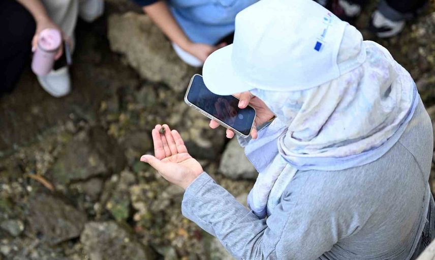 Vatandaş bilimiyle Mersin'in deniz biyoçeşitliliği MINKA'da kayıt altına alınıyor