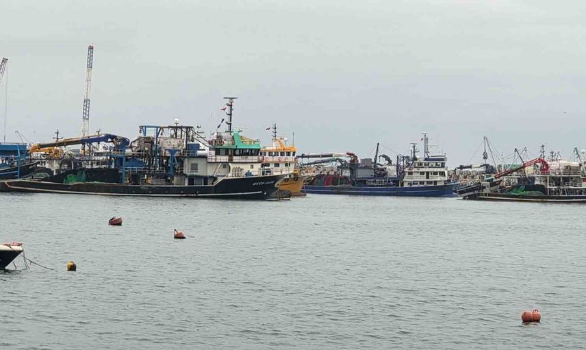 Fırtına nedeniyle Karadeniz Ereğli'de trol tekneleri limana sığındı
