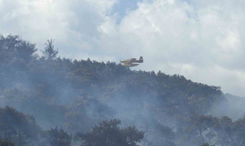 Kazdağları eteklerindeki yangın Zeytinli istikametine yöneldi