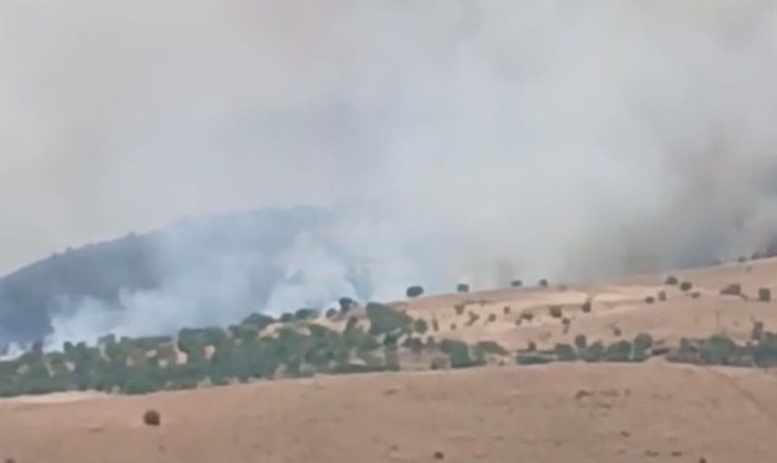 Pütürge Aktarla'da ağaçlık alanda yangınla mücadele sürüyor