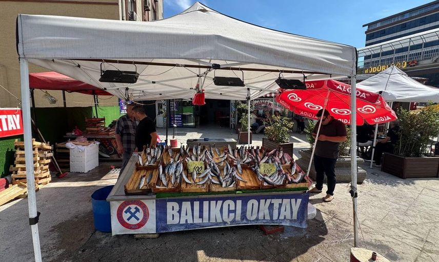 Zonguldaklı balıkçılar sezona bolluk umuduyla giriyor