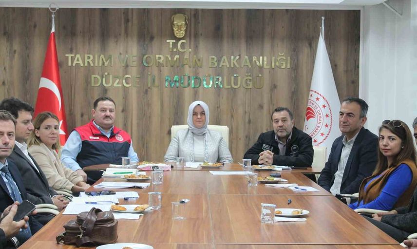 Anadolu mandasının ıslahı Düzce'de masaya yatırıldı