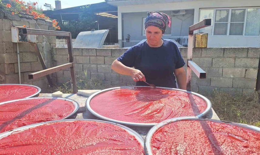 Sarıgöl'de kışlık salça hazırlığı imeceyle sürüyor