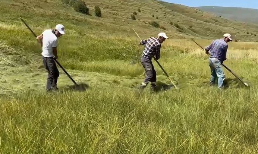 Ardahan'da sağanaklar tarım takvimini geriye attı, köylüler imeceyle yetişiyor