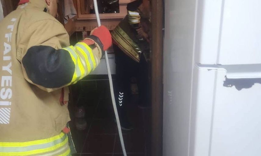 Antakya'da evin içinde yakalanan yılan güvenle doğaya salındı