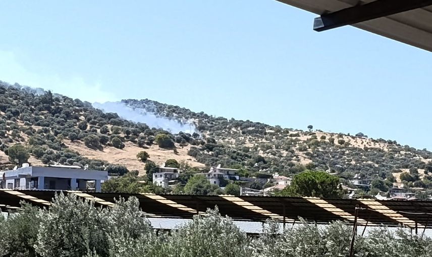 Bozdoğan'da Zirai Yangın Kontrol Altına Alındı