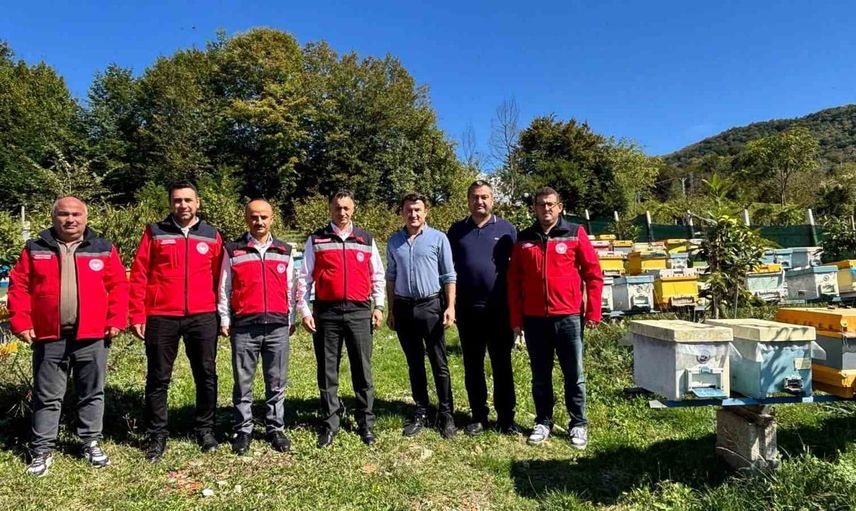 Bartınlı üretici 40 kovandan profesyonel arıcılığa taşıdı