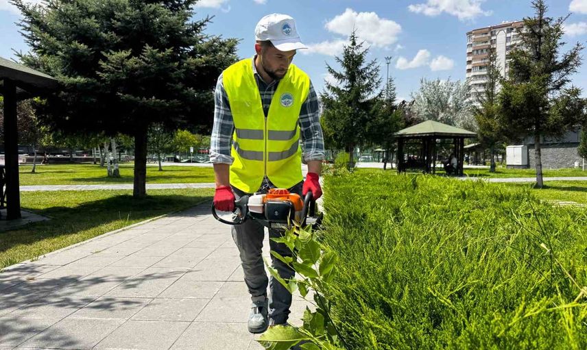 Peyzajda denge ve düzen: Kayseri'de süs bitkilerine form budaması