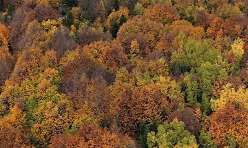 Uludağ’ın arka yamaçlarında sonbahar ve kışın kartpostallık buluşması