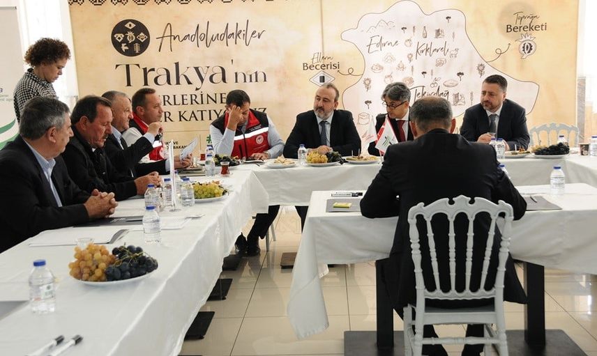 Şarköy zeytinyağına üretim ve markalaşma odaklı yol haritası