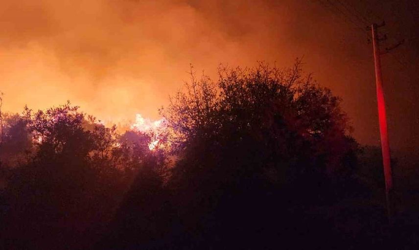 Aliağa'da zeytinlik ve otluk yangını ekiplerin 4 saatlik müdahalesiyle kontrol altına alındı