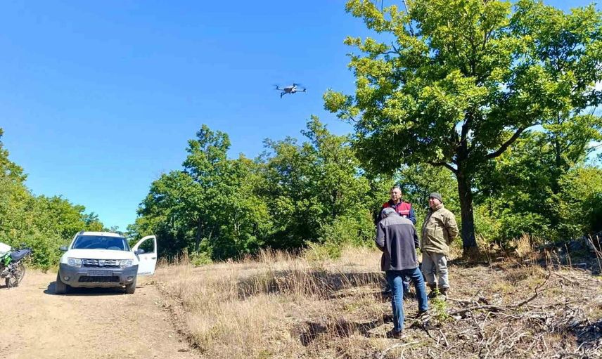 Dronla yapılan aramayla kayıp 9 büyükbaş sağ salim bulundu