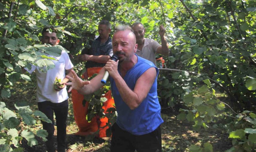 Fındık bahçesinde Anadolu Rock konseriyle hasada ritim