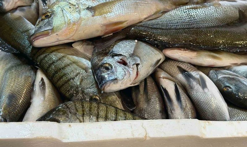 Buca balık halinde gece denetimi: 45 kilogram yasa dışı ürün müsadere edildi