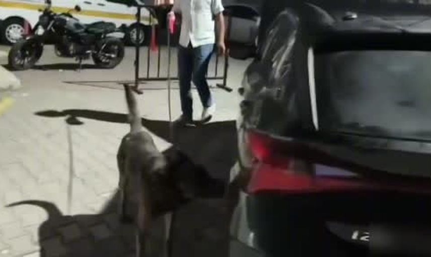 İstanbul'dan gelen sevkiyat sakarya'da yakalandı: 4 şüpheli tutuklandı