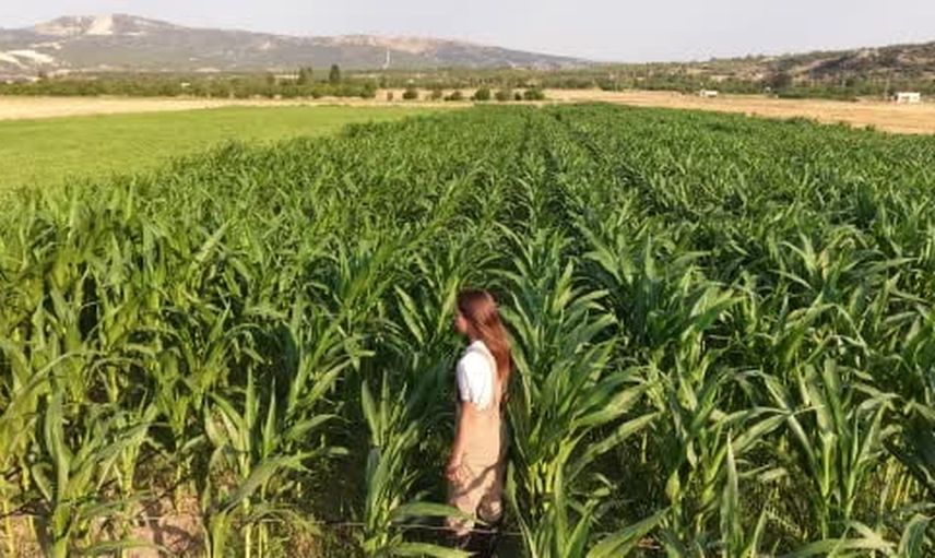 çiftliğin yükünü genç kadın sırtladı, üretmeyi sürdürdü