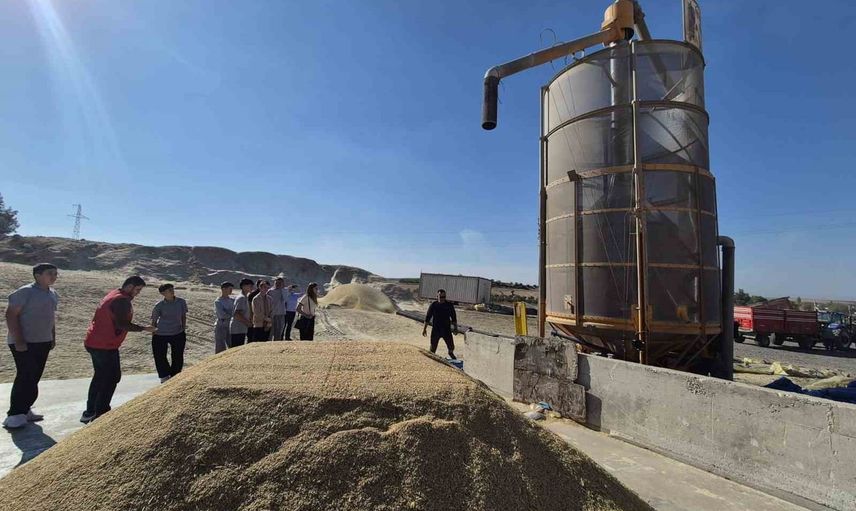 Gençler çeltik tarlasına inerek hasadı yerinde öğrendi