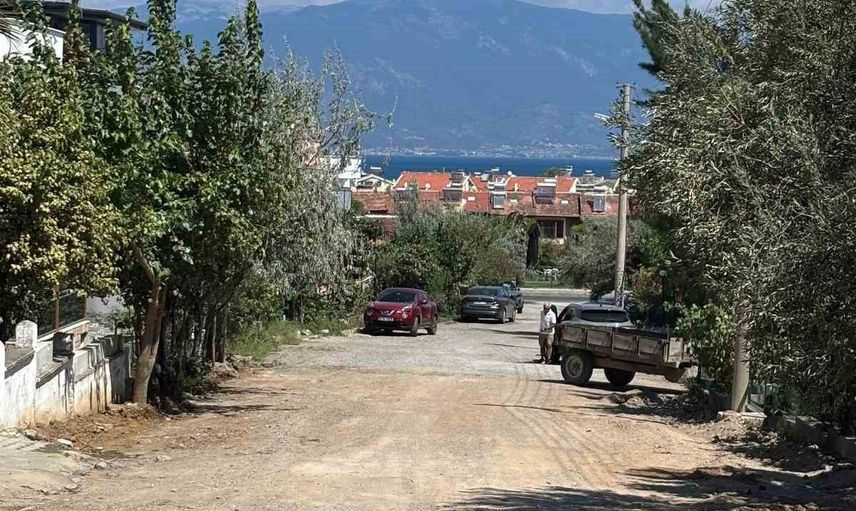 Burhaniye'de yol çalışması mahalle ağaçlarını tehlikeye soktu