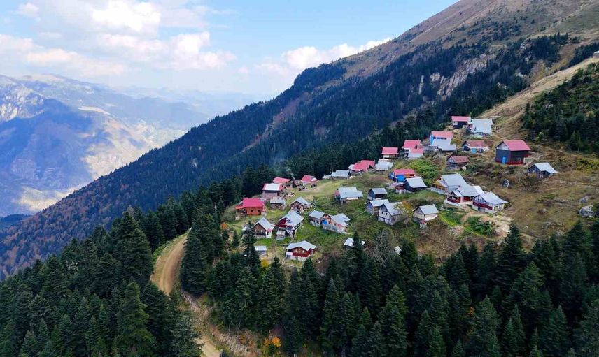Yapraklar arasında 2 bin metreye tırmandılar