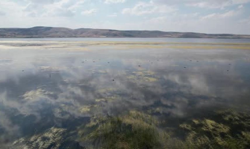 Çavuşçu Gölü suyla yeniden buluştu, hedef kontrollü balıkçılık