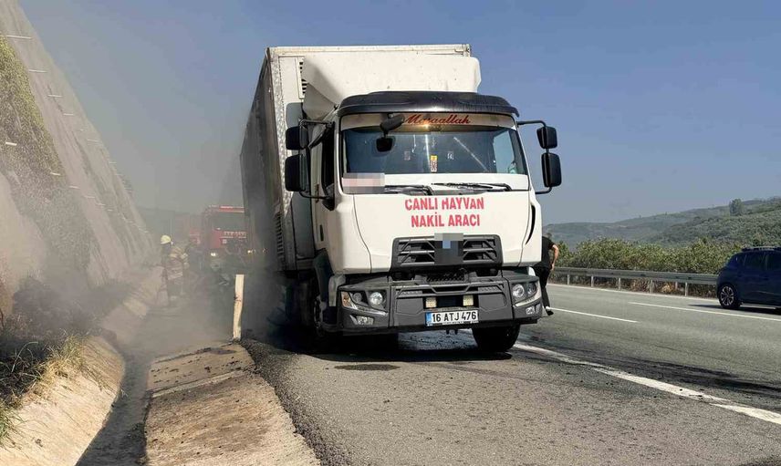 Otoyolda alevler kontrol altına alındı, boş hayvan nakil aracı kurtarıldı