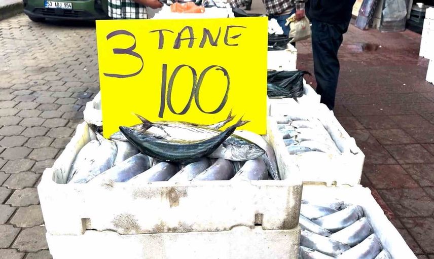 Rize'de palamut bolluğu tezgahları canlandırdı: 3'ü 100 TL'den