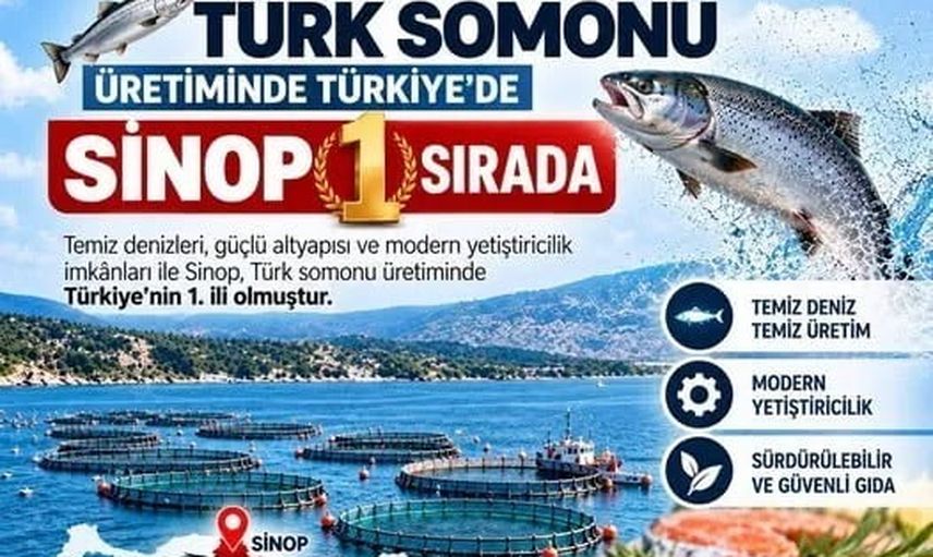 Sinop'tan dünya sofralarına: Türk somonunda lider üretim