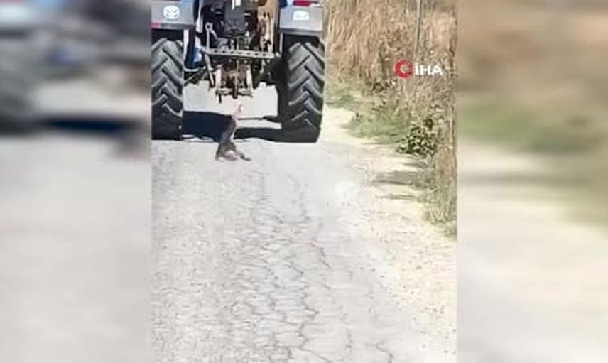 Andırın'da traktöre bağlanan köpeğin sürüklenme anları kameralara yansıdı